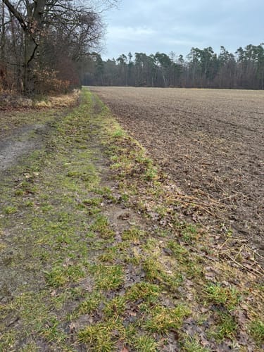 Rund um Kohlplattenschlag