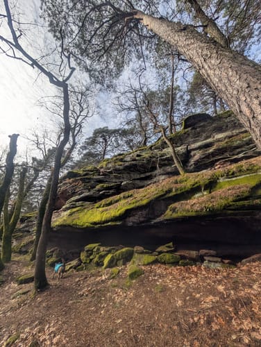 Wernersberg: Heimelstein - Wachtfels - Runder Hut - Geierstein