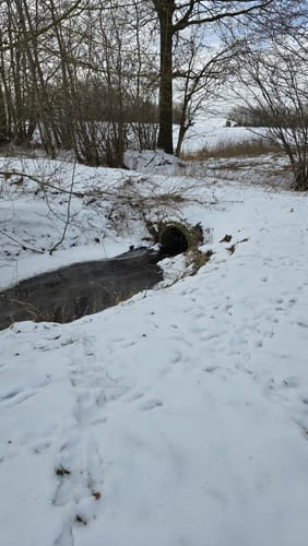 Wanderweg D1