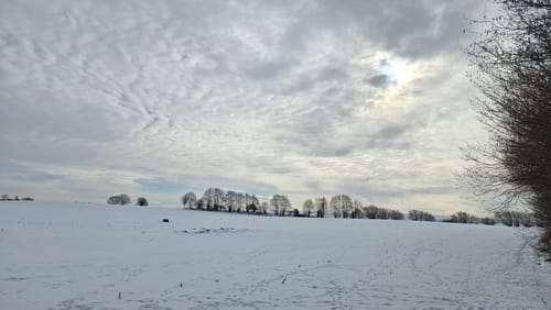 Wanderweg D1