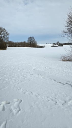 Wanderweg D1