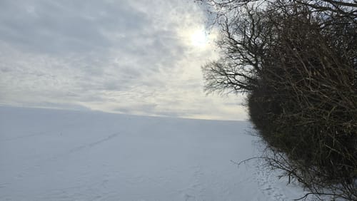 Wanderweg D1