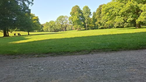 Freising - Pulling