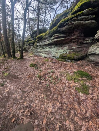 Wernersberg: Heimelstein - Wachtfels - Runder Hut - Geierstein