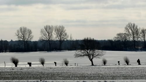 Ahrenshoop-Wustrow