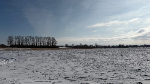 Ahrenshoop-Wustrow