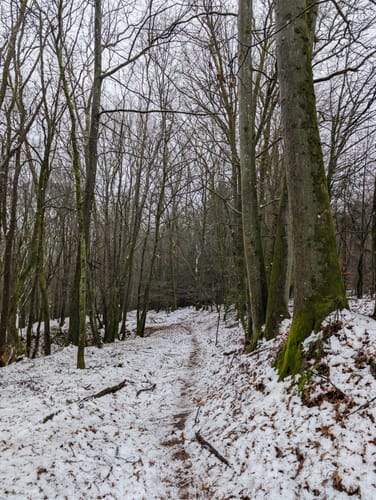 Werschweiler - Tiefenbachtal