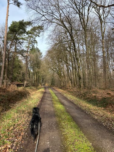 Zum Fuchsbau: Wanderweg A1