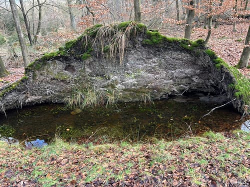 Zum Fuchsbau: Wanderweg A1