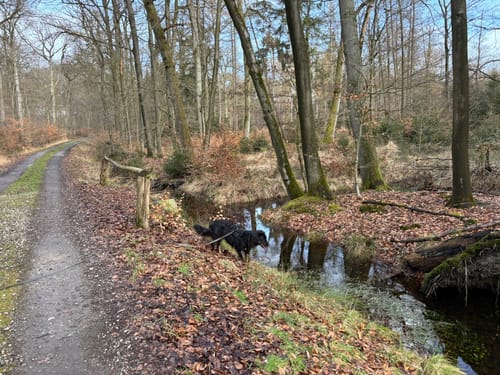 Zum Fuchsbau: Wanderweg A1