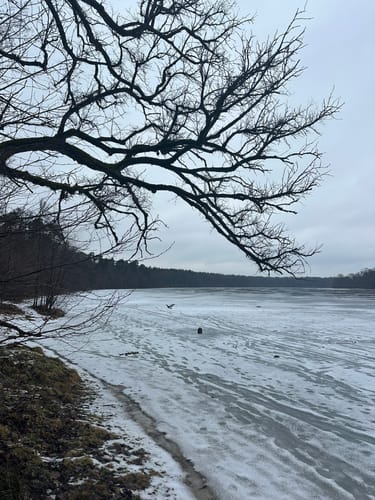 Straussee Runde