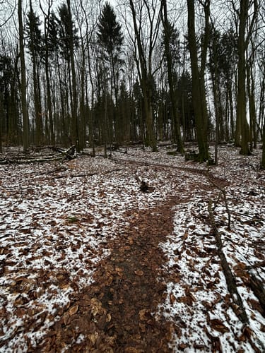 Rundwanderweg Heppenheim Goldbrunnen 2: Panoramaweg