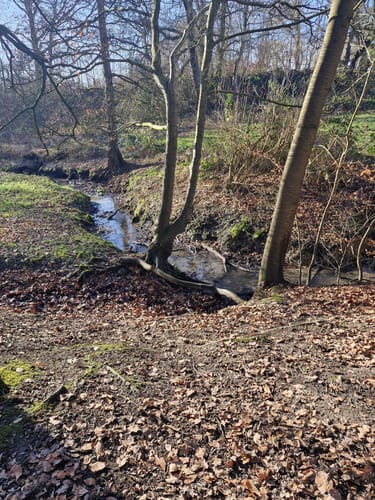 Naturschutzgebiet Langeloh ab Holthausen
