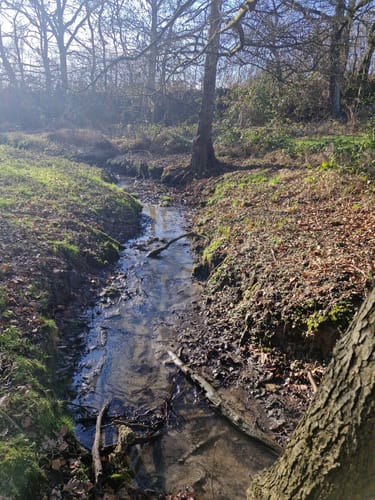 Naturschutzgebiet Langeloh ab Holthausen