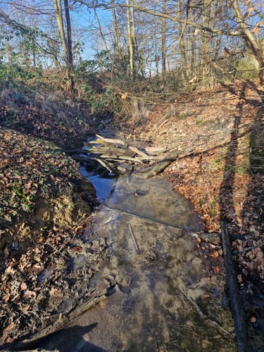 Naturschutzgebiet Langeloh ab Holthausen