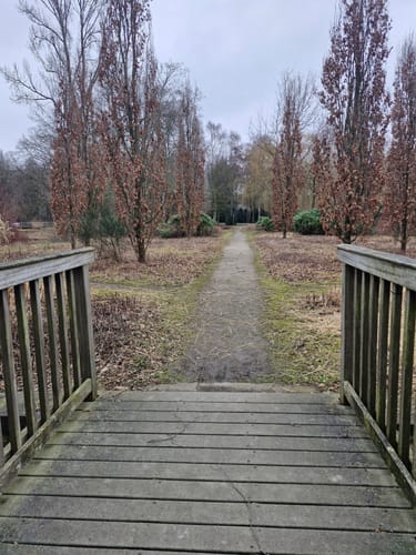 Rund um den Wittringer Wald