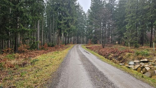 Aus Vicht ins Fischbachtal
