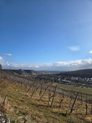 Schweigenberg Wanderweg (Unstrut Weinwanderweg)