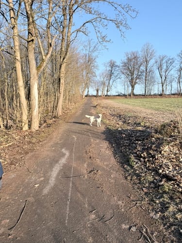 Trimm-Dich-Pfad ab Kurpark