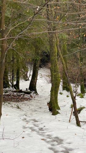 Rund um die Steinberge 