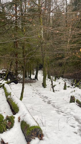 Rund um die Steinberge 