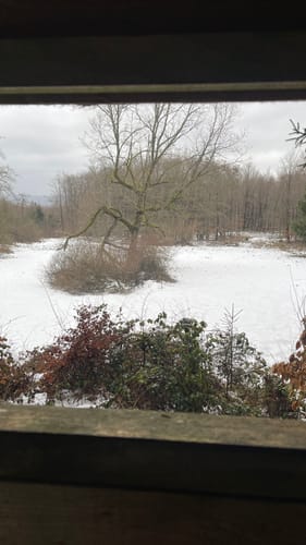 Rund um die Steinberge 
