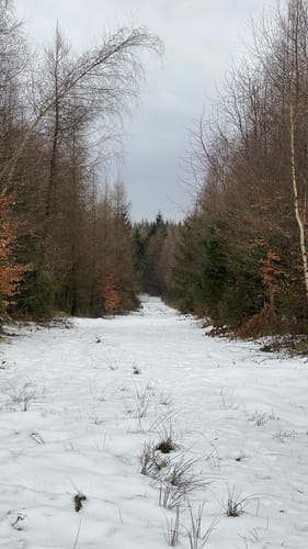Rund um die Steinberge 