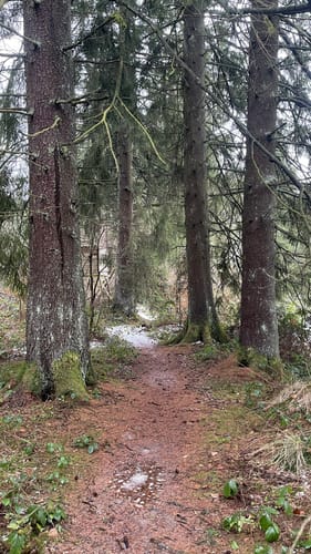 Rund um die Steinberge 