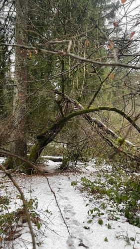 Rund um die Steinberge 