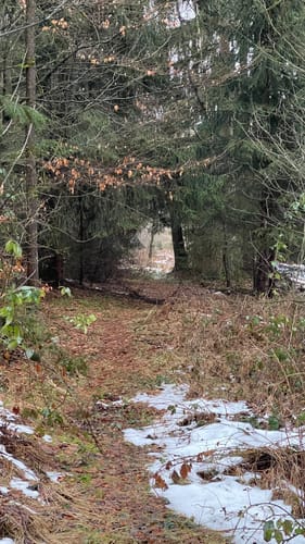 Rund um die Steinberge 