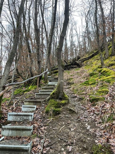 Von Döttesfeld durchs Grenzbachtal