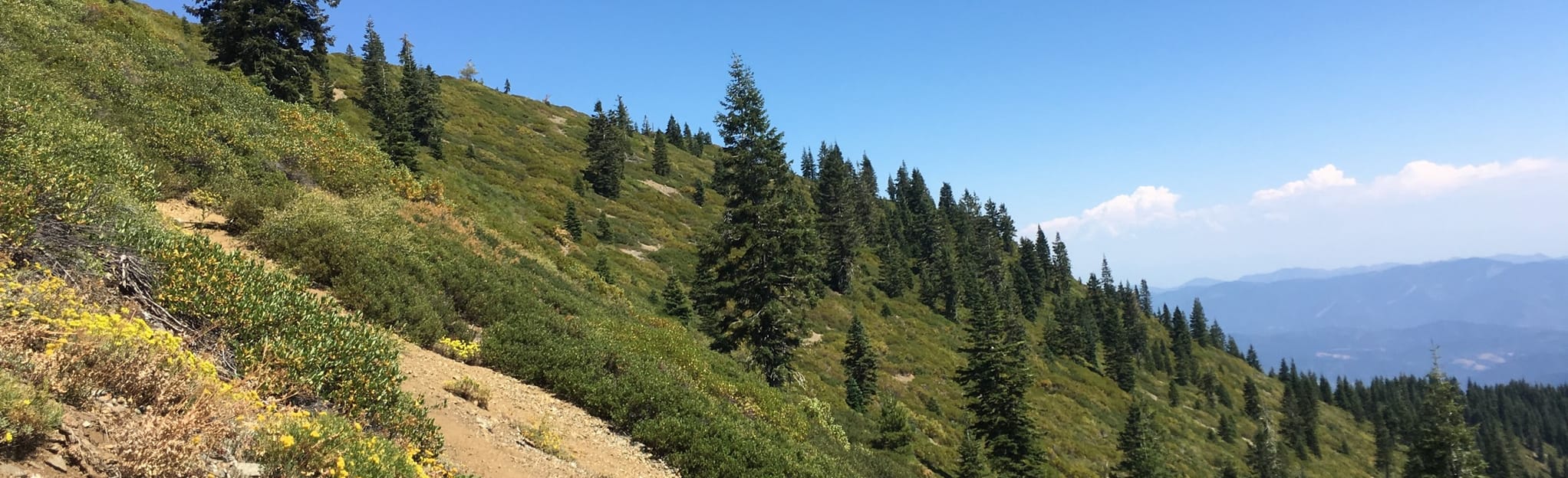 AllTrails East Weaver Lake Trail 34 Reviews, Map California