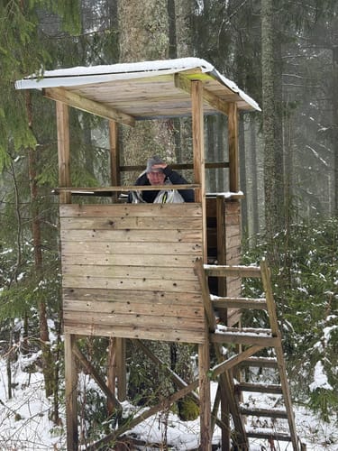 In den Stöcklewald