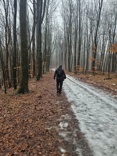Heikendorfer Wasserweg
