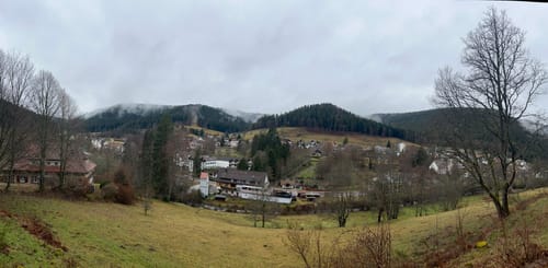 Heidelbeerweg (Premiumwanderweg)
