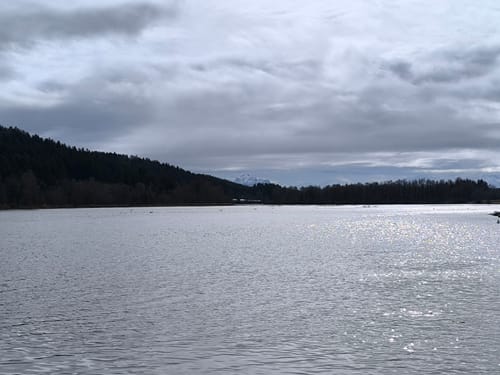 Wertach-Wanderung: Bärensee und Bachtelsee