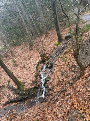 Elfringhauser Schweiz