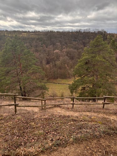 Im Leudelsbachtal