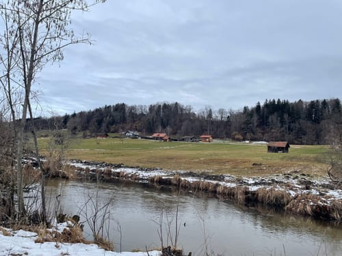 Moos-Rundweg bei Murnau