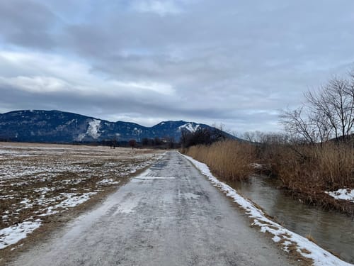 Moos-Rundweg bei Murnau