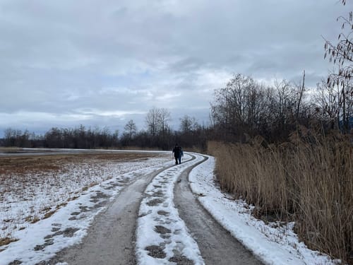 Moos-Rundweg bei Murnau