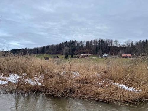 Moos-Rundweg bei Murnau