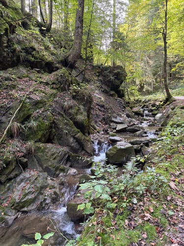 Aueralm und Zwergelberg