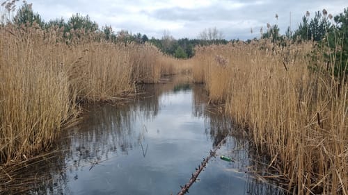 Um den Neuhäuser See