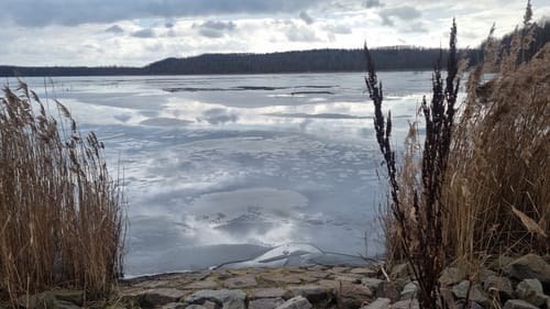 Um den Neuhäuser See