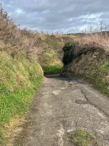 Kaiserstuhllauf