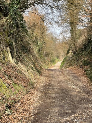 Kaiserstuhllauf