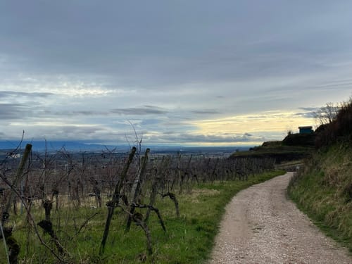 Kaiserstuhllauf
