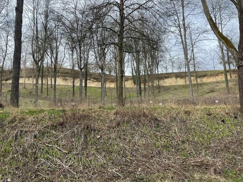 Kaiserstuhllauf