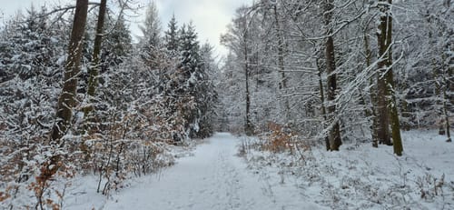 Harburg (Schwaben): Bockrundweg